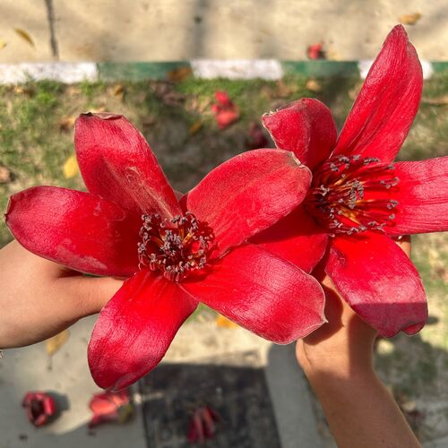 Photo #11206396