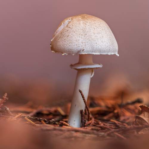 Photo #11206519