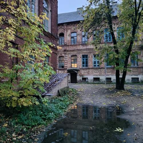 Photo #11206696