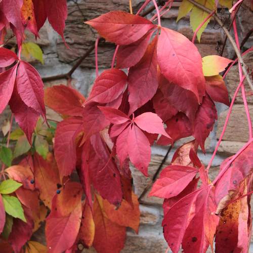 Photo #11207128