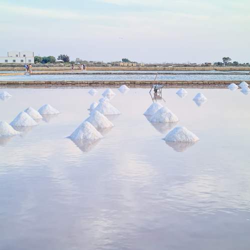 Photo #11207159