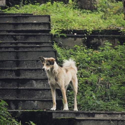 Photo #11207169