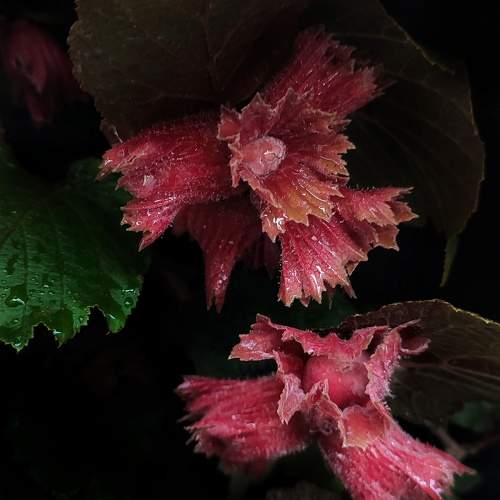 Photo #11207220