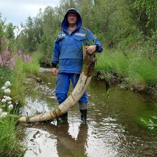 Photo #11207278