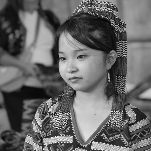 Photo #11207308