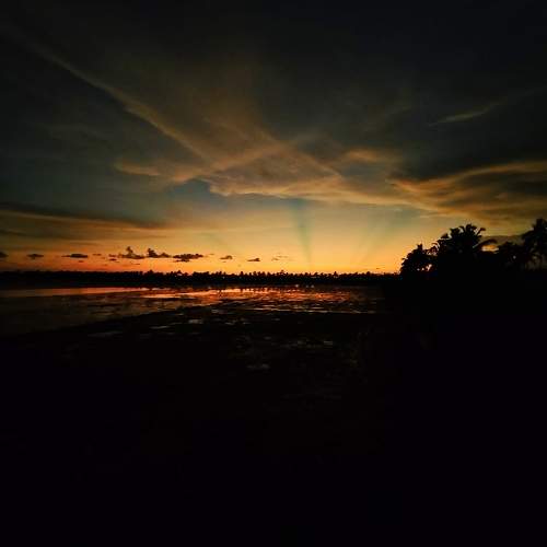 Photo #11207341