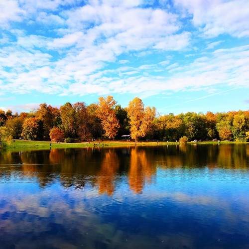 Photo #11207355