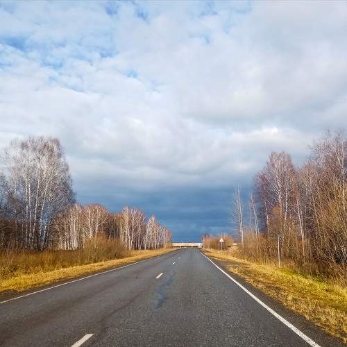 Photo #11207523