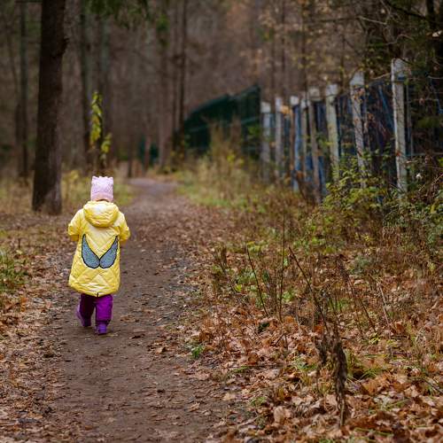 Photo #11207811