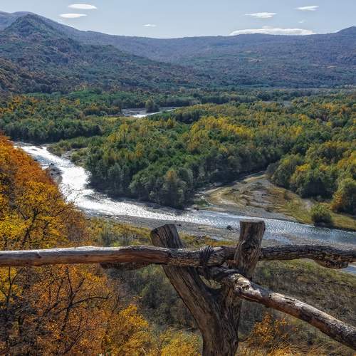 Photo #11208017