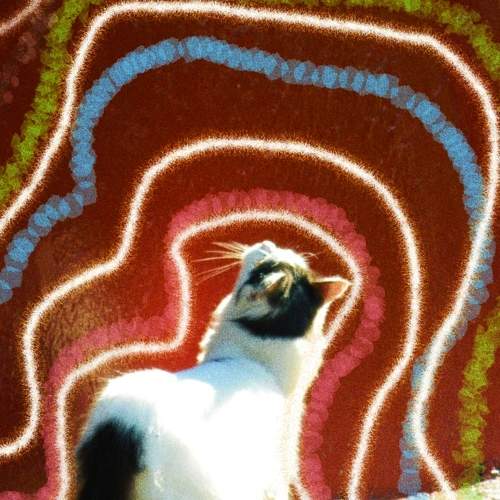 Photo #11208137