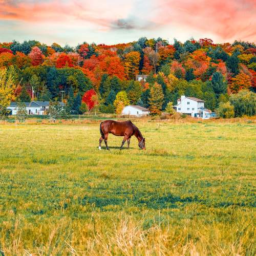 Photo #11208151