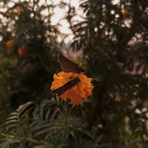Photo #11208189