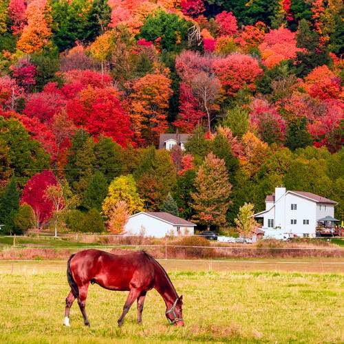 Photo #11208299