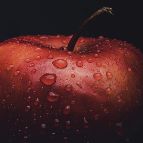 Photo #11208376