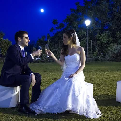 Photo #11208396