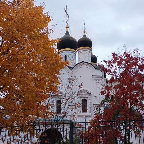 Photo #11208791