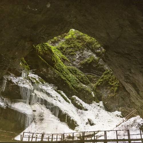 Photo #11208889