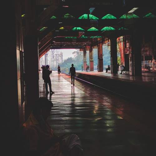 Photo #11208966