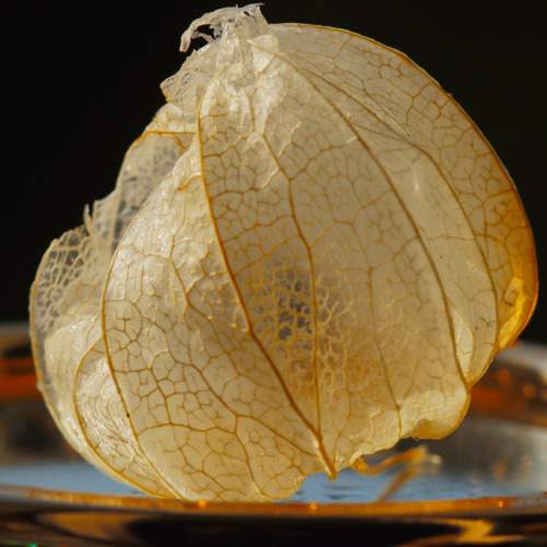 Photo #11209186
