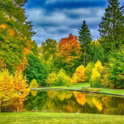 Photo #11209227