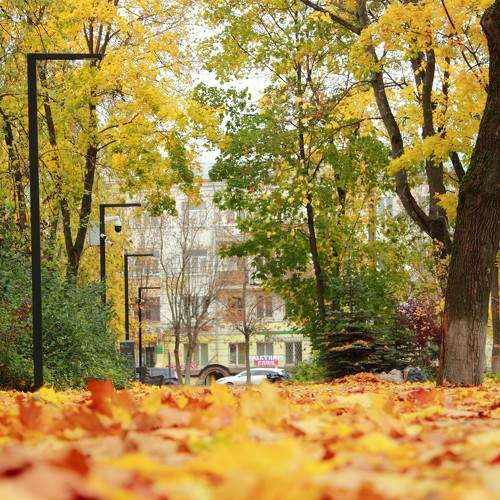 Photo #11209231