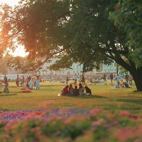 Photo #11209297