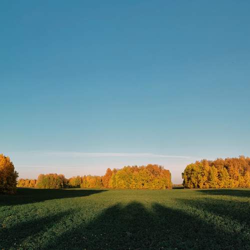 Photo #11209304