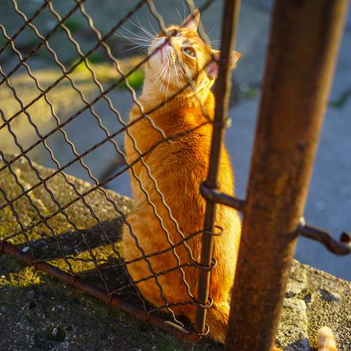 Photo #11209534