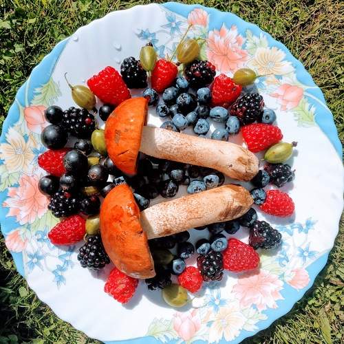 Photo #11209606