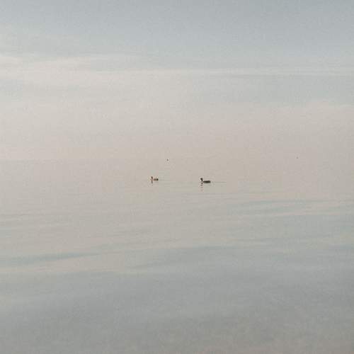 Photo #11209835