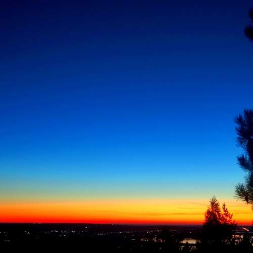 Photo #11210068
