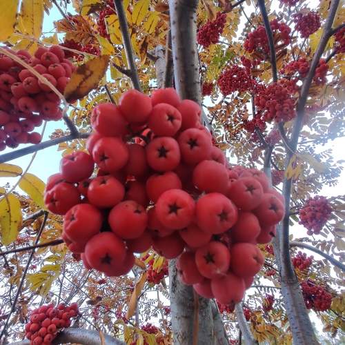 Photo #11210074