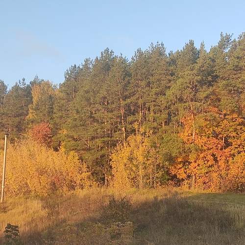 Photo #11210283