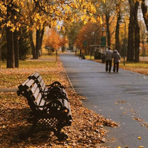 Photo #11210323
