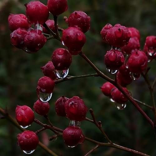 Photo #11210416