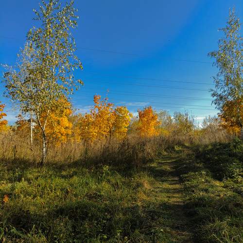 Photo #11210426