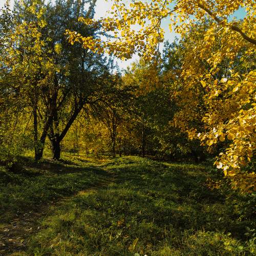 Photo #11210427