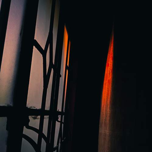 Photo #11210480