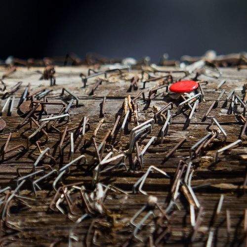 Photo #11210562