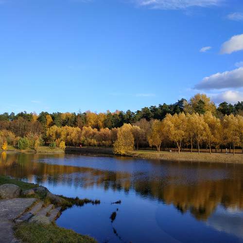 Photo #11210684