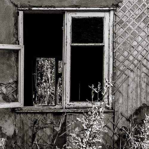 Photo #11210886