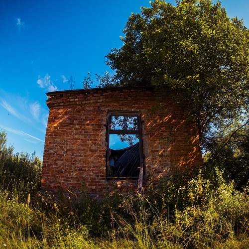 Photo #11210888