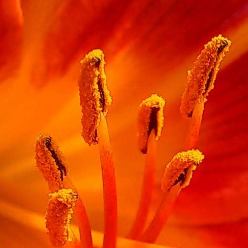Photo #11210890