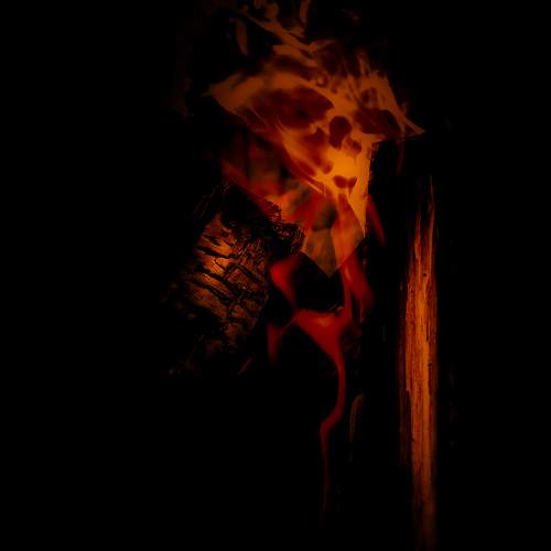 Photo #11210998