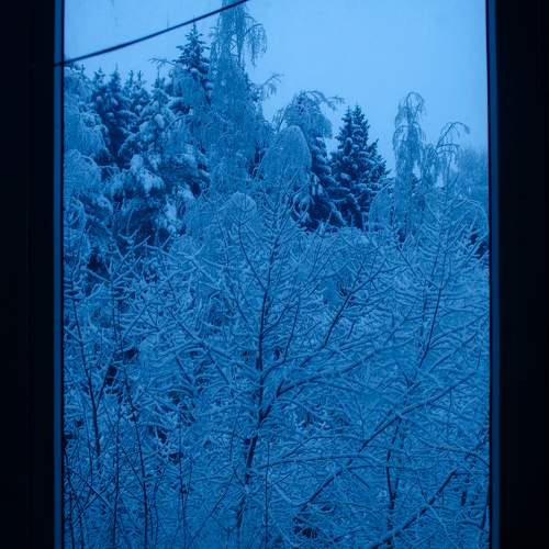 Photo #11211100