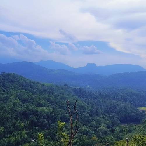 Photo #11211214