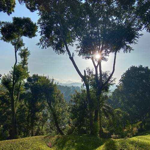Photo #11211218