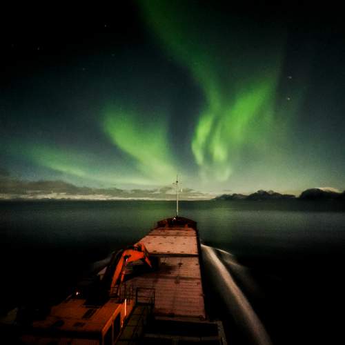 Photo #11211301