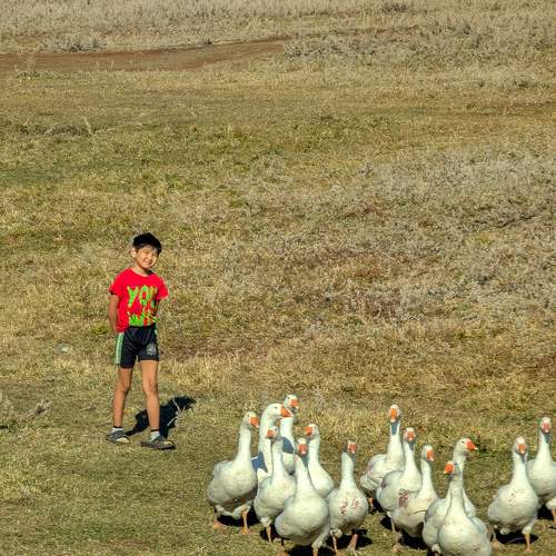 Photo #11211307